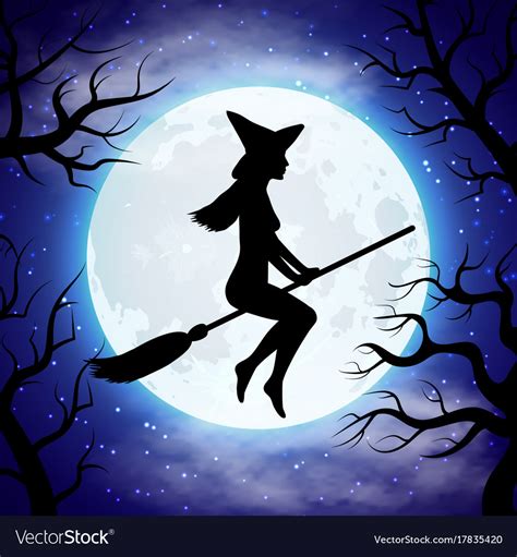 Silhouette of witch flying on the broom in Vector Image