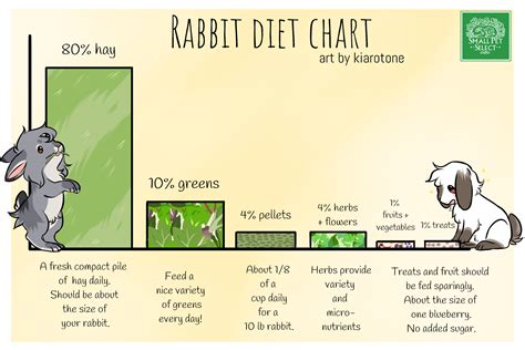 Printable Rabbit Diet Chart