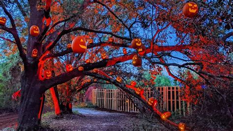 Fall events happening in and around Lakeland, FL - LALtoday