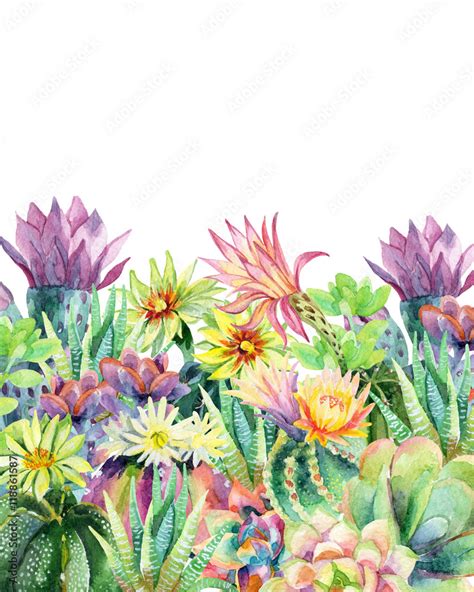 Watercolor blooming cactus background Stock Illustration | Adobe Stock