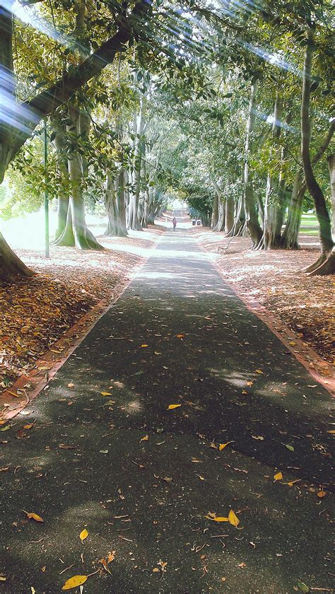 We are so lucky to have such beautiful parks to walk through in our city! : r/melbourne