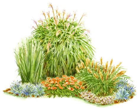 Create a Lush Corner of Ornamental Grasses with This Simple Garden Plan