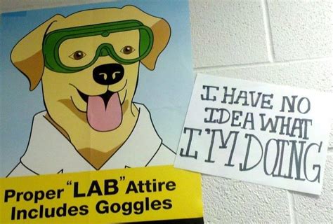 Science Lab Safety Quotes. QuotesGram