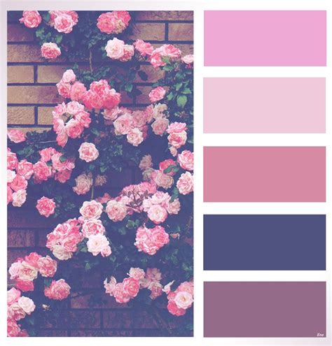 color palette | Colour pallete, Color palette, Color palette design