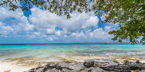 Alamy_FNDWEW_Bonaire_National_Marine_Park - Marriott Bonvoy Traveler