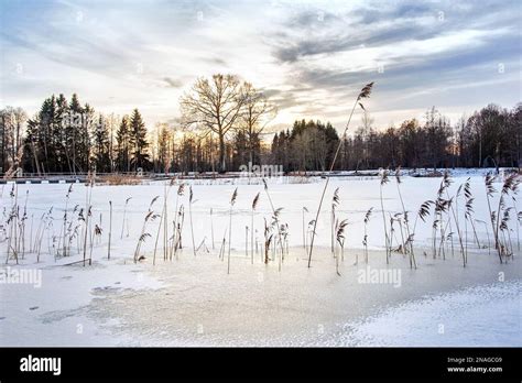 Kirkilai lakes in winter time.Lithuania Stock Photo - Alamy