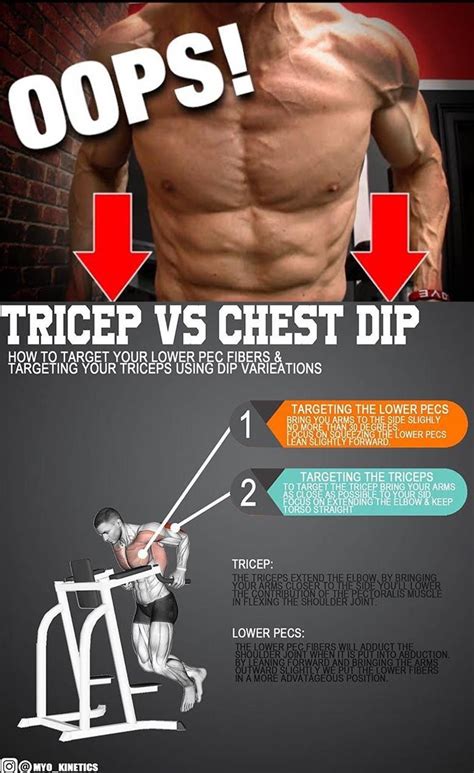 Pin on Biceps & Triceps