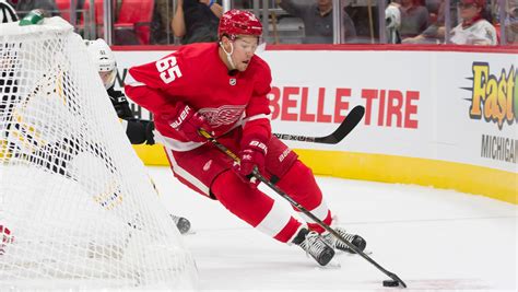 Red Wings defensemen embrace shot-blocking hazards