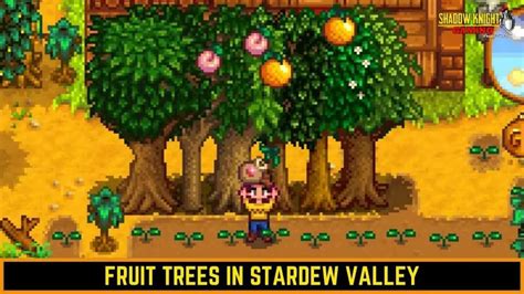 Fruit Trees in Stardew Valley - Stardew Valley Wiki