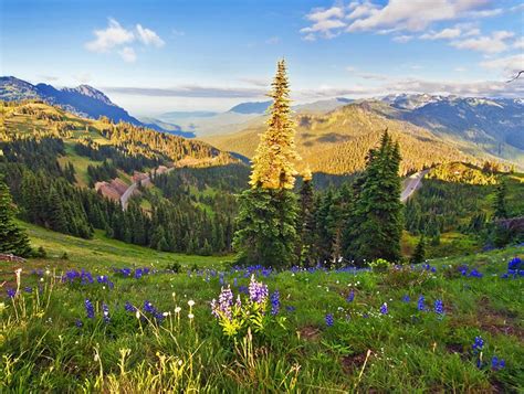 15 Top-Rated Tourist Attractions in Washington State | PlanetWare