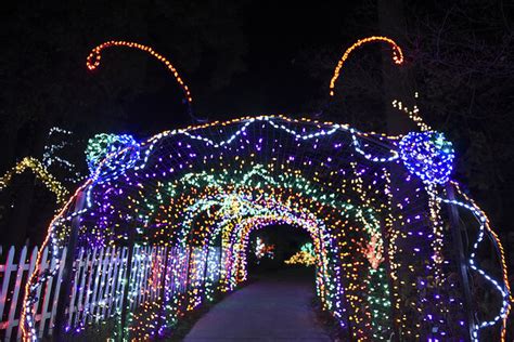 GARDEN OF LIGHTS AT BROOKSIDE GARDENS, MD — Average Socialite