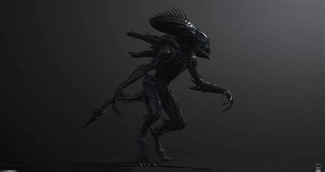 Xenoraven, Henrique Naspolini | Xenomorph, Art inspiration, Alien