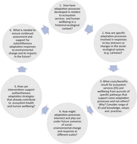 Human ecological adaptation