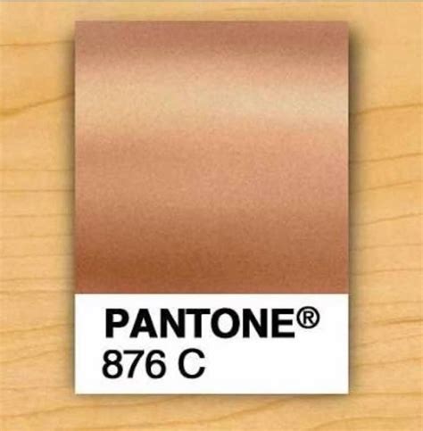 rose gold paper pantone 876 C | Pantone gold, Copper colour palette, Pantone color