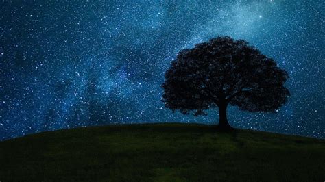 Wallpaper Grass Field, Tree, Starry Sky, Night - XFXWallpapers