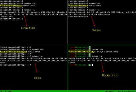 How to Check Linux OS Name, Kernel Version, and Information