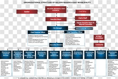 Organizational Chart Metropolitan Municipality Nelson Mandela Art ...