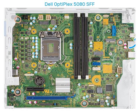 Dell OptiPlex 5080 SFF vs. Fujitsu Esprimo G6012 Comparison