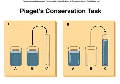 Concrete Operational Stage - Jean Piaget: Constructing Your Own Knowledge