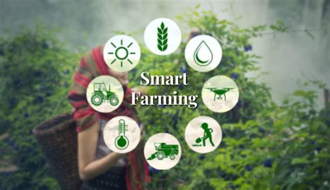 How Smart Farming Sensors Are Helping the Agriculture Sector?