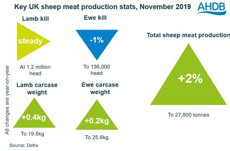 UK sheep meat production up during November, driven by carcase weights | AHDB