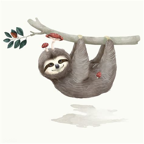 Illustration of a sloth | free image by rawpixel.com Baby Sloth, Cute ...