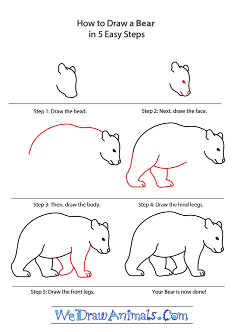 How to Draw a Bear in Five Easy Steps (FREE Printable) + Tons of How to Draw Animal Tutorials