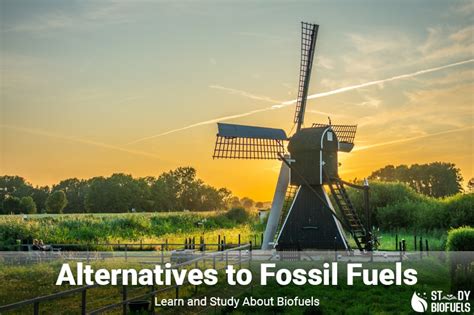 5 Best Alternatives to Fossil Fuels | Study BioFuels