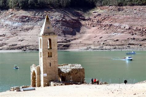 2.6 tons of fish culled in Sau reservoir to preserve water quality amid ...