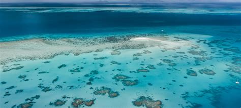 Off the Beaten Track around Cairns & Great Barrier Reef - Luxury Escapes AU