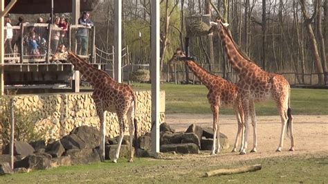 List of zoos and animal parks in Belgium-2 – Lajjaish | Belgium Blogger