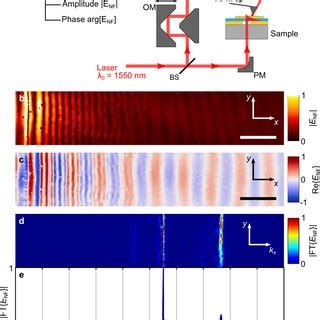 Scanning near-field optical microscopy measurements a Schematic... | Download Scientific Diagram