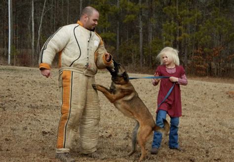 Personal Protection Dog Questions Answered- SSP Firearms