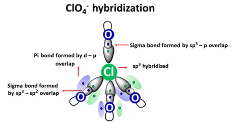 ClO4- lewis structure, molecular geometry, bond angle, hybridization