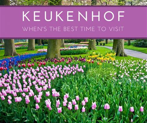 The Best Time to Visit Keukenhof Gardens, Lisse, The Netherlands ...