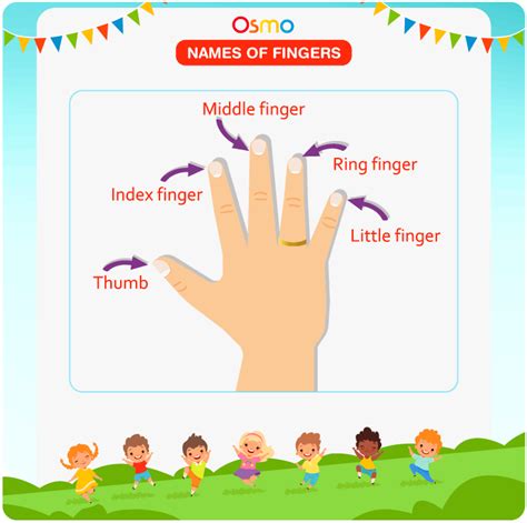 Names Of Fingers | List Of Hand Finger Names In English