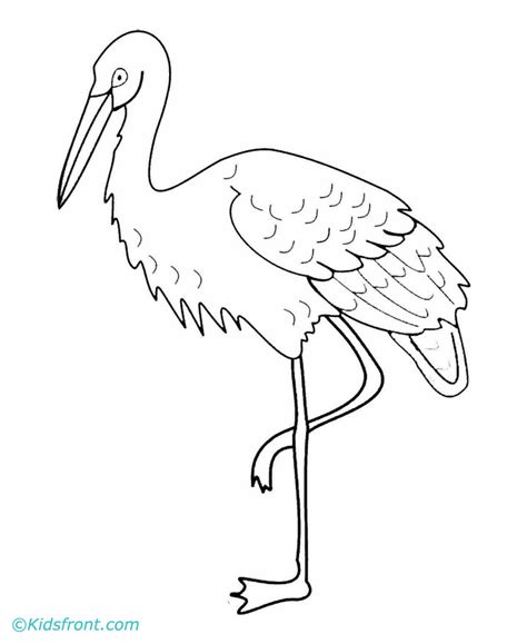 Crane Bird Drawing at GetDrawings | Free download