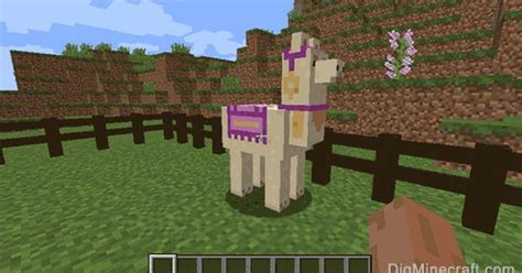 Minecraft All Llama Carpet Colors - Inter disciplina