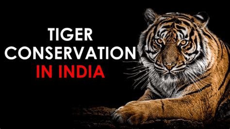 Tiger Conservation in India and the World - All You Need to Know | UPSC - IAS EXPRESS