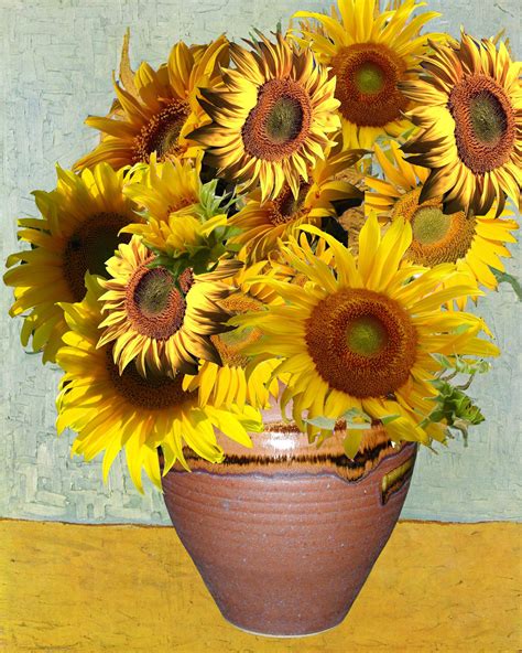 How Many Sunflower Paintings By Van Gogh - SUNFLOWER