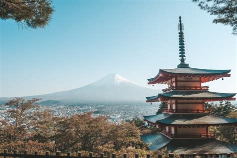 When & Where to See Cherry Blossoms Near Mt. Fuji this 2024 - Klook ...