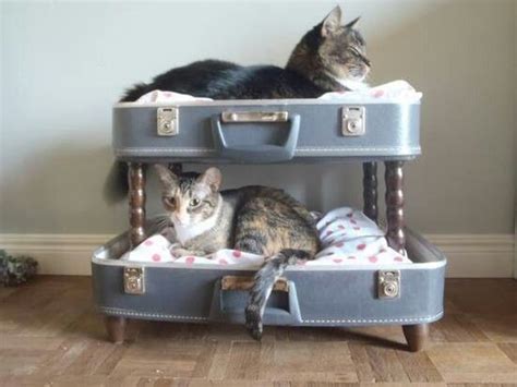 Clever DIY cat bunk bed | Cat bunk beds, Cat bed, Pet beds