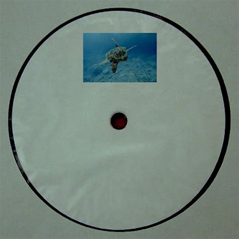 Sea Turtle Migration by Charles.A.D (Single, Ambient): Reviews, Ratings, Credits, Song list ...
