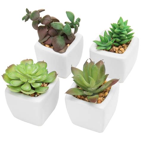 Small Green Plastic Artificial Succulent Plants in Mini Modern White Ceramic Planter Pots, Set ...