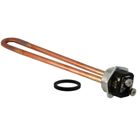 Rheem PROTECH 120-Volt, 1500-Watt Copper Heating Element for Electric ...