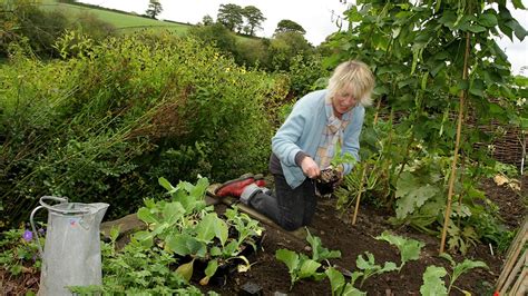 BBC Two - Life in a Cottage Garden with Carol Klein, Series 1, Autumn