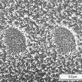 Novel methods, incorporating pre- and post-anodising steps, for the ...