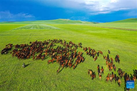 Scenery of grassland in Holin Gol, N China's Inner Mongolia-Xinhua