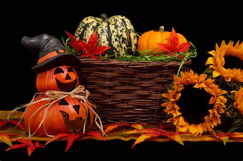 Dark Halloween Theme Free Stock Photo - Public Domain Pictures