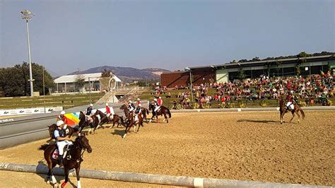 Horseball World Cup 2016, Ponte de Lima - YouTube